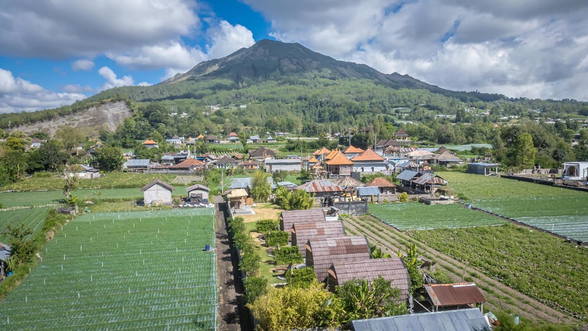 Tegal Bamboo Cottages & Private Hot Spring Baturaja  外观 照片